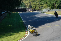 Middle 2 Group Yellow Bikes